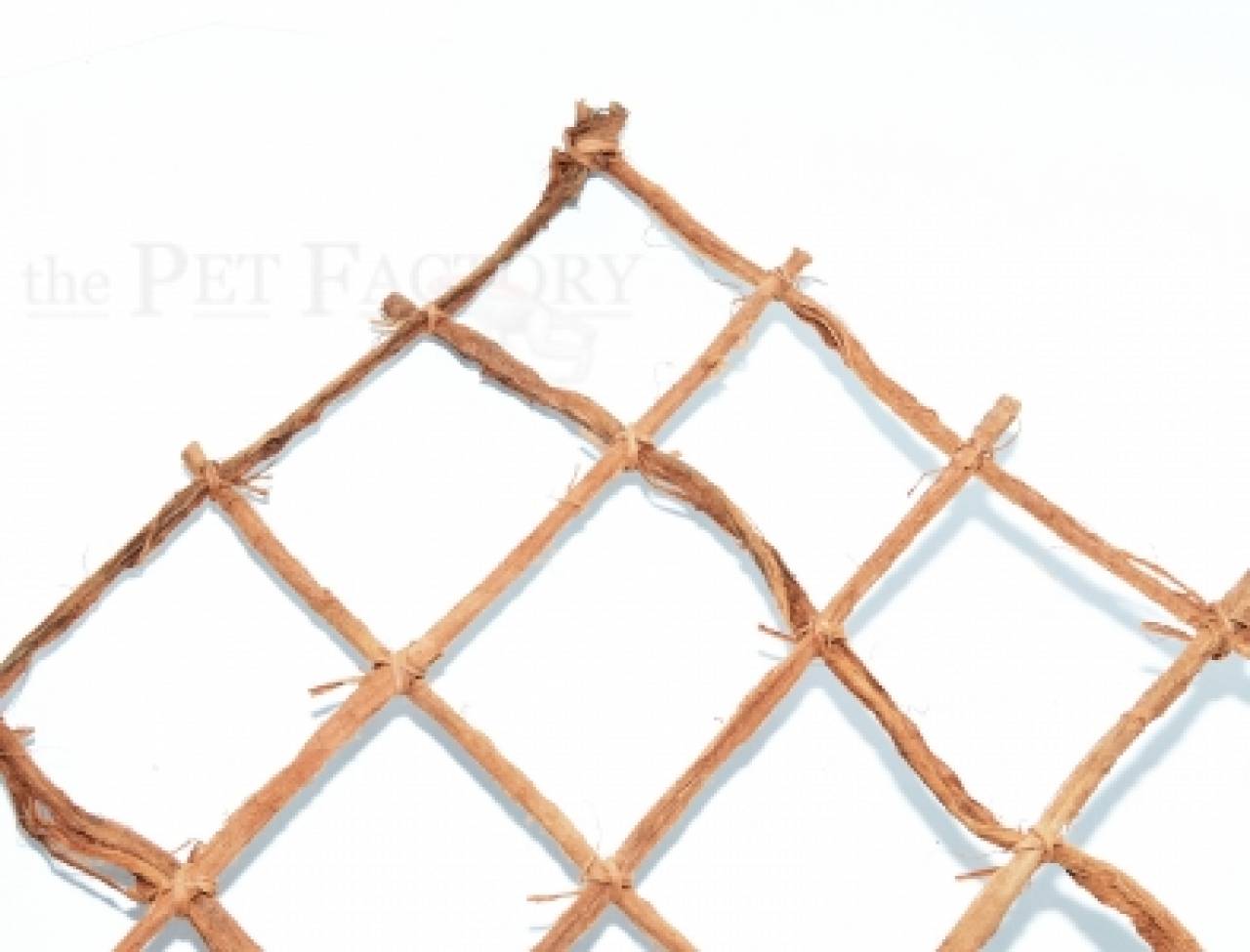 Jungle Net